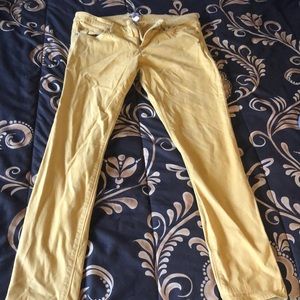 Express mustard soft jean like pants